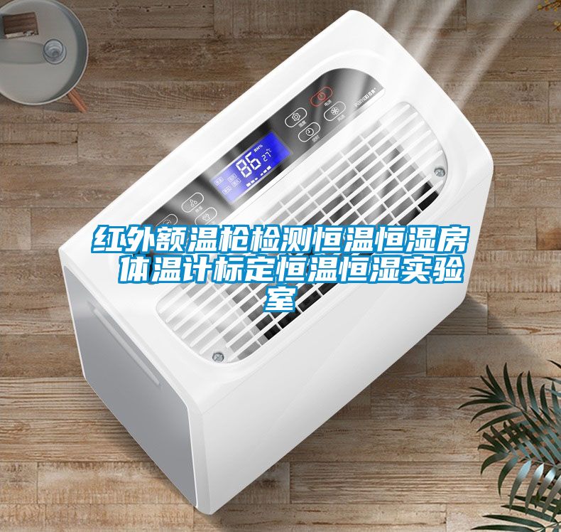 紅外額溫槍檢測恒溫恒濕房 體溫計標定恒溫恒濕實驗室