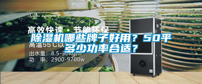 除濕機哪些牌子好用？50平多少功率合適？