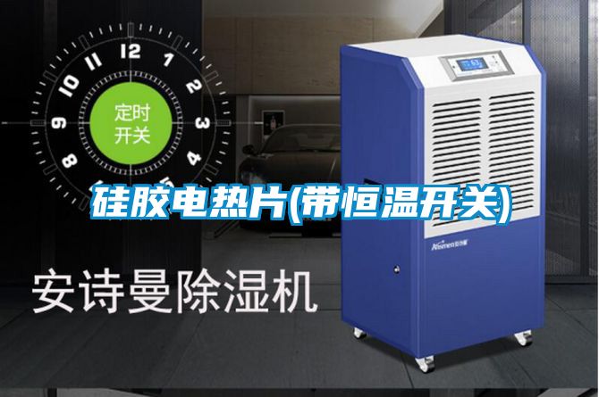 硅膠電熱片(帶恒溫開關)
