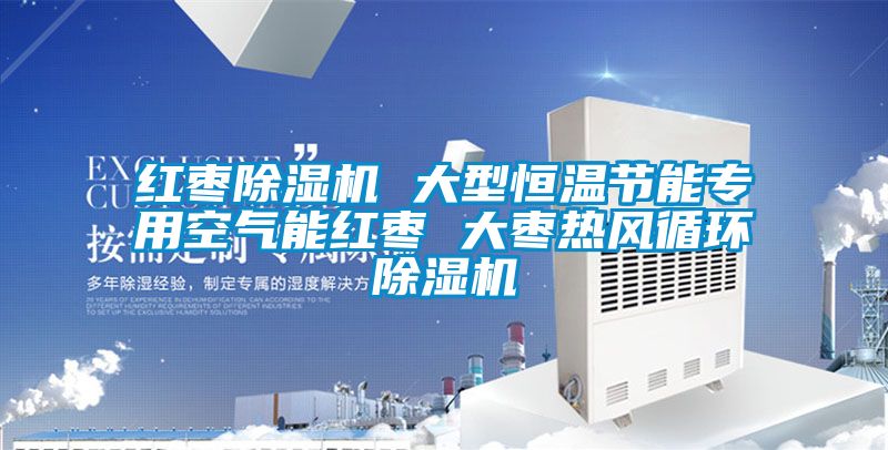 紅棗除濕機 大型恒溫節能專用空氣能紅棗 大棗熱風循環除濕機