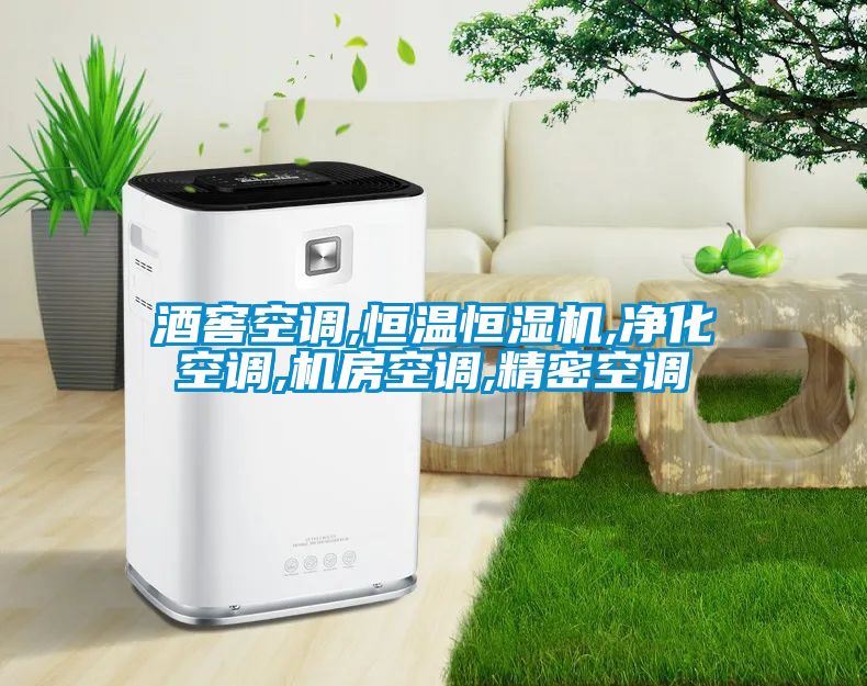 酒窖空調(diào),恒溫恒濕機(jī),凈化空調(diào),機(jī)房空調(diào),精密空調(diào)