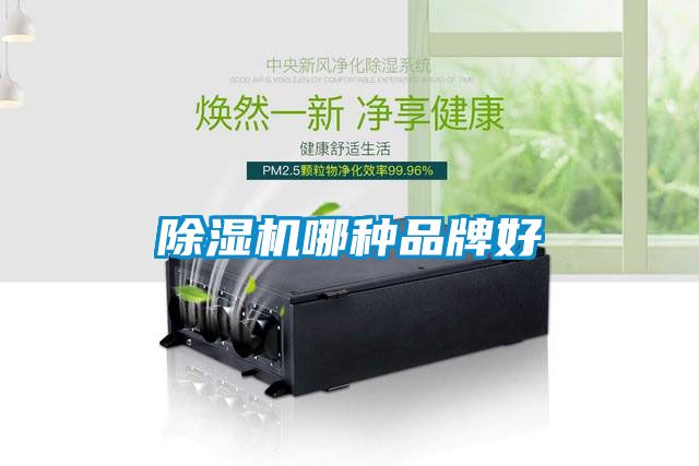 除濕機哪種品牌好