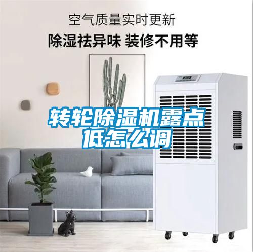 轉輪除濕機露點低怎么調