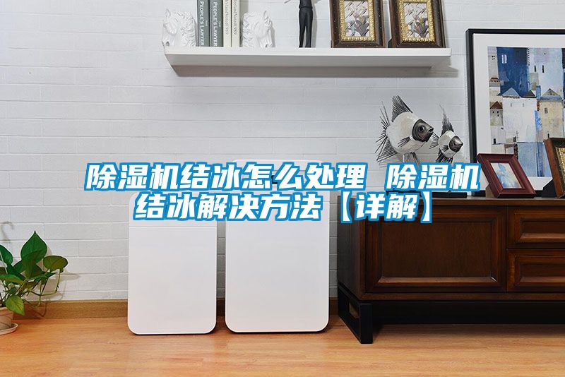 除濕機結(jié)冰怎么處理 除濕機結(jié)冰解決方法【詳解】