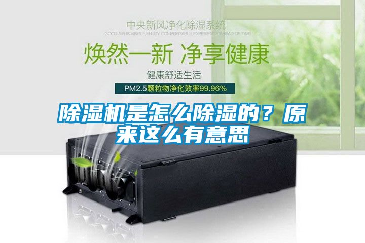 除濕機(jī)是怎么除濕的？原來(lái)這么有意思
