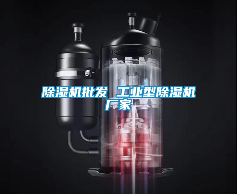 除濕機批發 工業型除濕機廠家