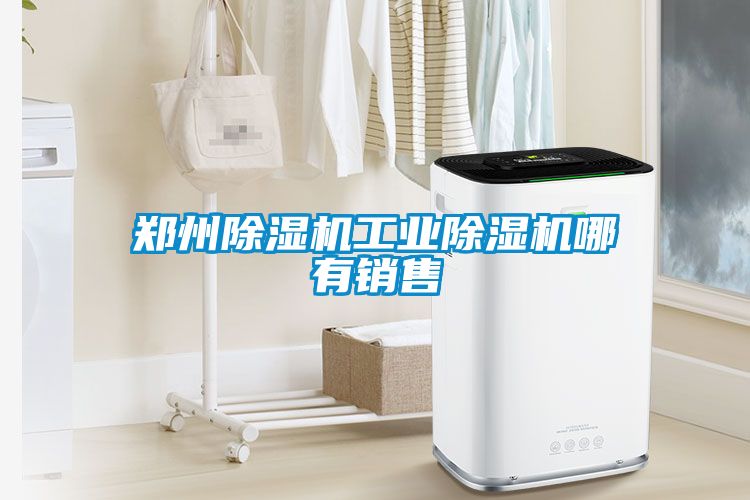 鄭州除濕機工業除濕機哪有銷售