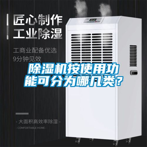 除濕機按使用功能可分為哪幾類？