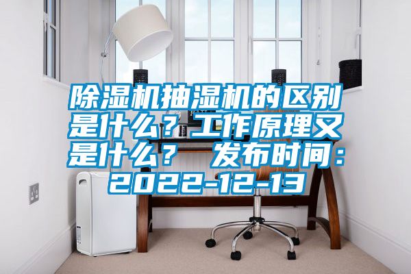 除濕機抽濕機的區(qū)別是什么？工作原理又是什么？ 發(fā)布時間：2022-12-13