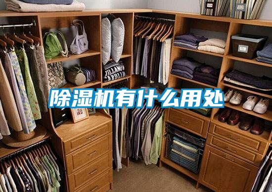 除濕機(jī)有什么用處