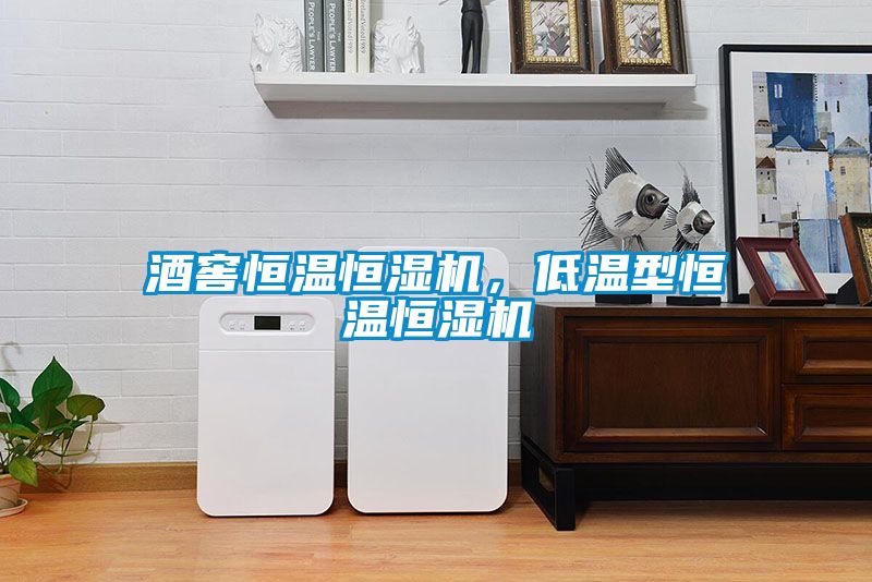 酒窖恒溫恒濕機(jī)，低溫型恒溫恒濕機(jī)