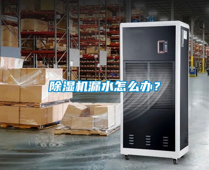 除濕機漏水怎么辦？