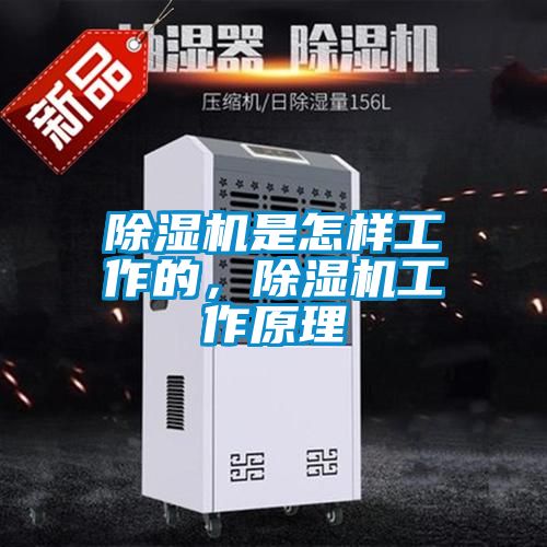 除濕機(jī)是怎樣工作的，除濕機(jī)工作原理