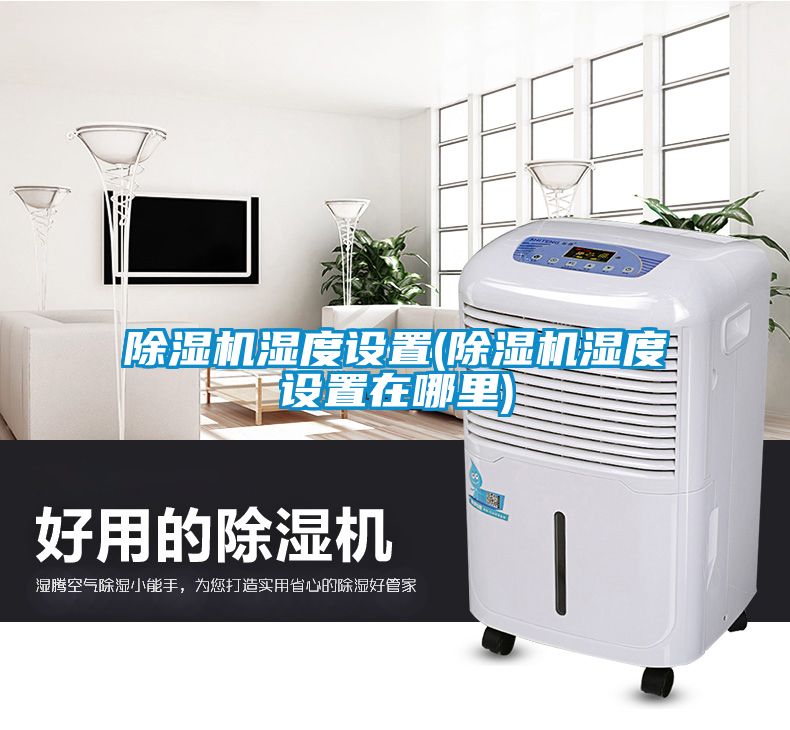 除濕機濕度設置(除濕機濕度設置在哪里)