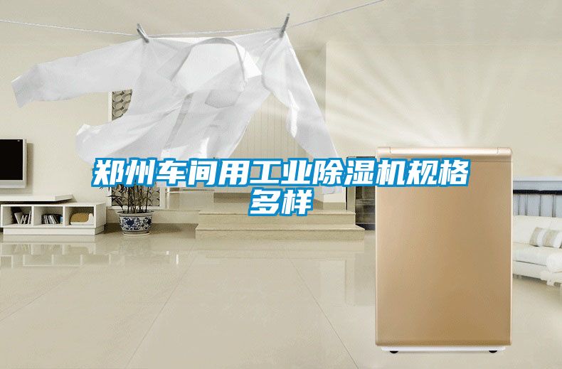 鄭州車間用工業除濕機規格多樣