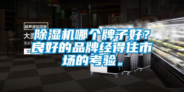除濕機哪個牌子好？良好的品牌經得住市場的考驗。