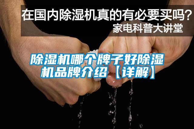 除濕機哪個牌子好除濕機品牌介紹【詳解】
