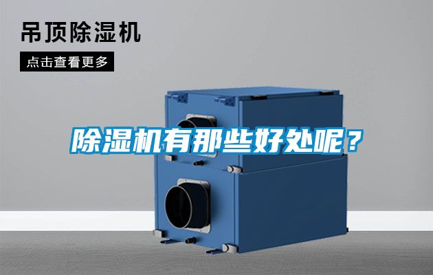 除濕機有那些好處呢？
