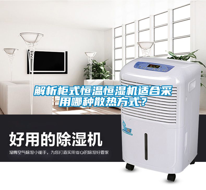 解析柜式恒溫恒濕機(jī)適合采用哪種散熱方式？