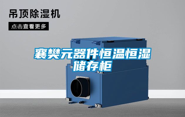 襄樊元器件恒溫恒濕儲(chǔ)存柜
