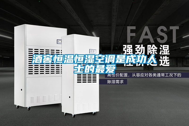 酒窖恒溫恒濕空調是成功人士的最愛