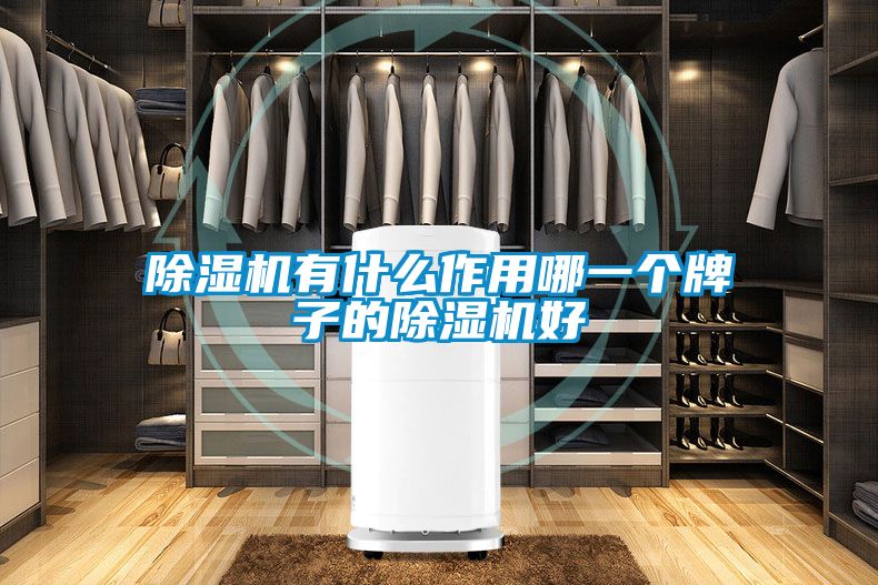 除濕機有什么作用哪一個牌子的除濕機好