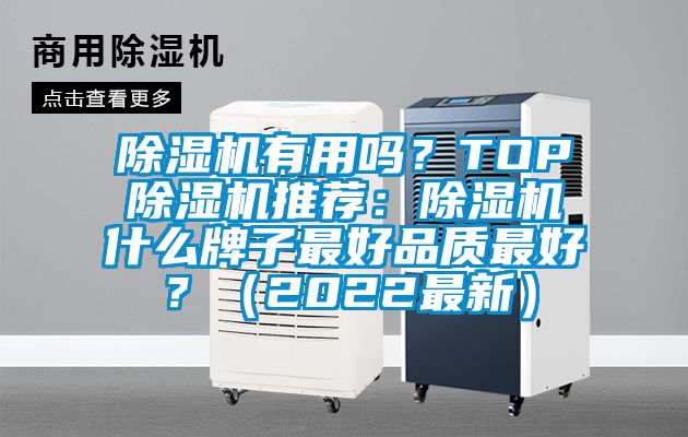 除濕機有用嗎？TOP除濕機推薦：除濕機什么牌子最好品質(zhì)最好？（2022最新）