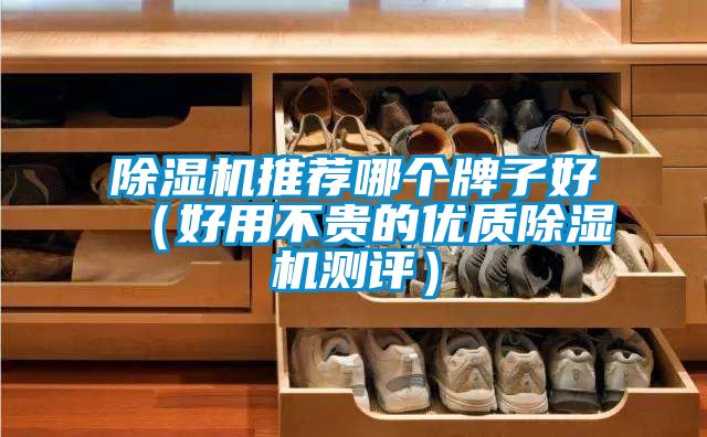 除濕機推薦哪個牌子好（好用不貴的優質除濕機測評）