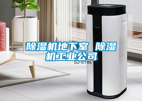 除濕機(jī)地下室 除濕機(jī)工業(yè)公司