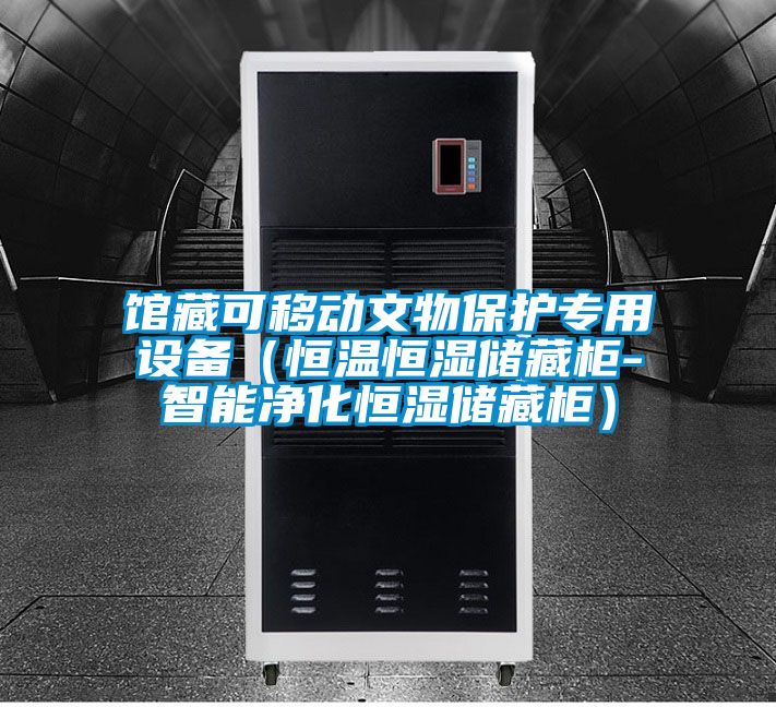 館藏可移動文物保護專用設備（恒溫恒濕儲藏柜-智能凈化恒濕儲藏柜）