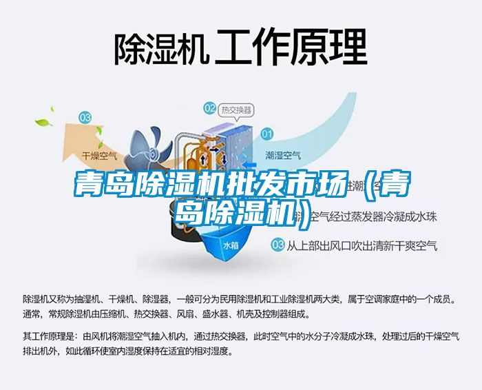 青島除濕機(jī)批發(fā)市場(chǎng)（青島除濕機(jī)）