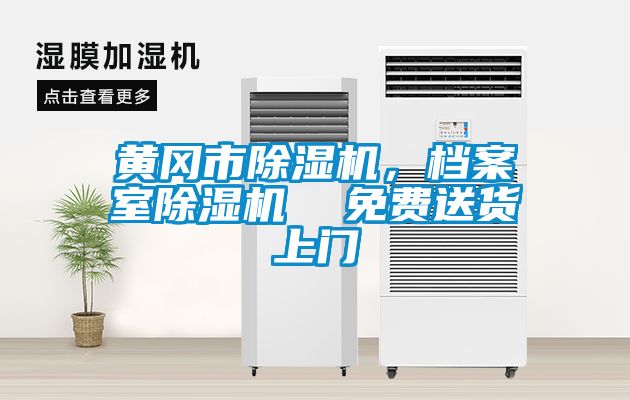 黃岡市除濕機，檔案室除濕機  免費送貨上門