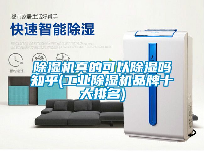 除濕機真的可以除濕嗎知乎(工業除濕機品牌十大排名)