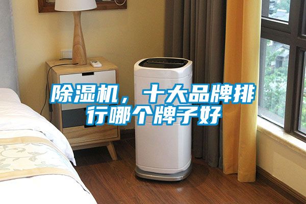除濕機，十大品牌排行哪個牌子好