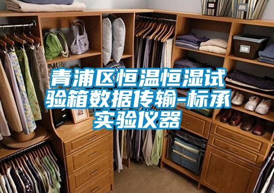 青浦區恒溫恒濕試驗箱數據傳輸-標承實驗儀器