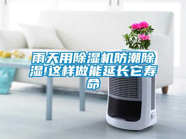 雨天用除濕機防潮除濕!這樣做能延長它壽命