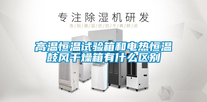 高溫恒溫試驗箱和電熱恒溫鼓風干燥箱有什么區別