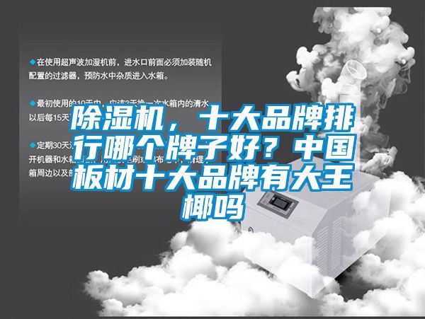除濕機(jī)，十大品牌排行哪個(gè)牌子好？中國板材十大品牌有大王椰嗎