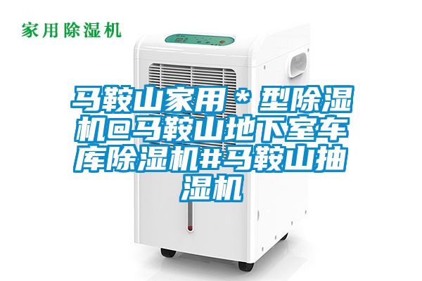 馬鞍山家用＊型除濕機@馬鞍山地下室車庫除濕機#馬鞍山抽濕機