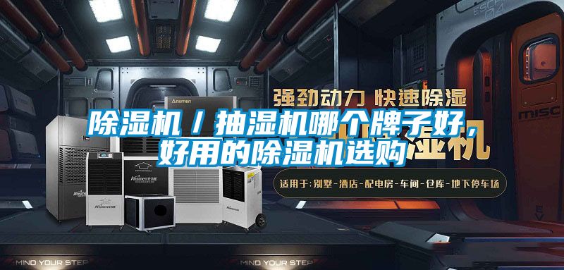 除濕機／抽濕機哪個牌子好，好用的除濕機選購