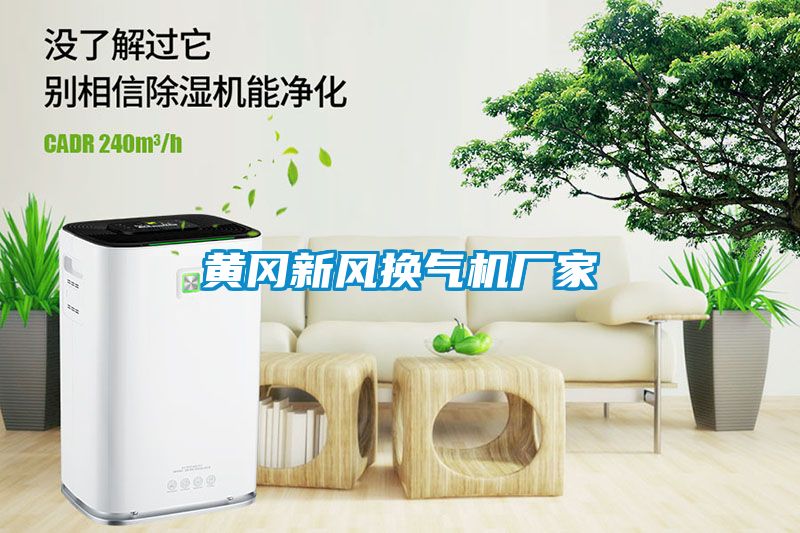 黃岡新風(fēng)換氣機(jī)廠家