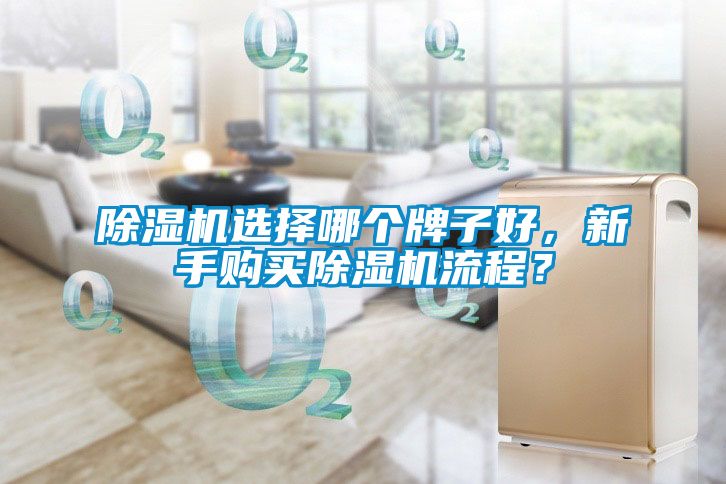 除濕機選擇哪個牌子好，新手購買除濕機流程？