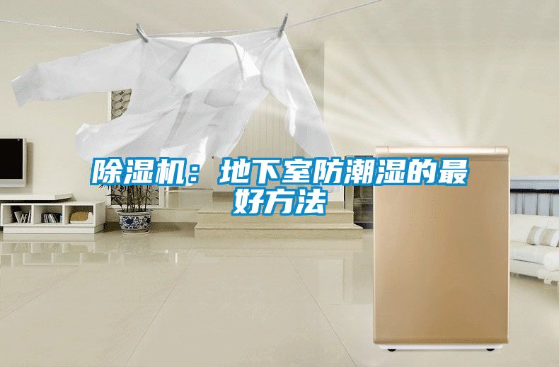 除濕機(jī)：地下室防潮濕的最好方法