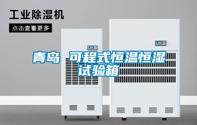 青島 可程式恒溫恒濕試驗(yàn)箱
