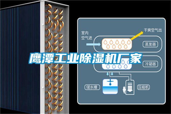 鷹潭工業除濕機廠家