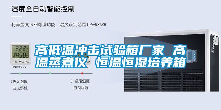 高低溫沖擊試驗箱廠家 高溫蒸煮儀 恒溫恒濕培養箱
