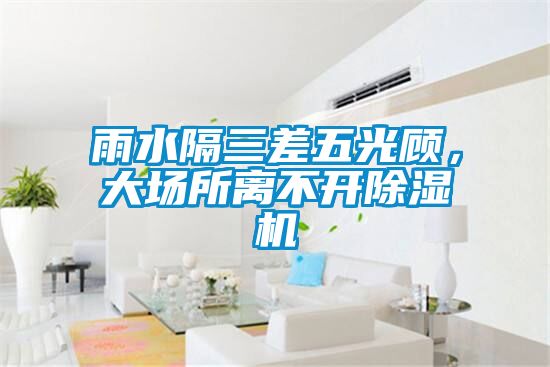 雨水隔三差五光顧，大場所離不開除濕機