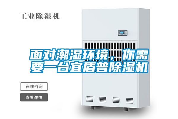 面對潮濕環境，你需要一臺宜盾普除濕機