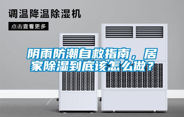 陰雨防潮自救指南，居家除濕到底該怎么做？