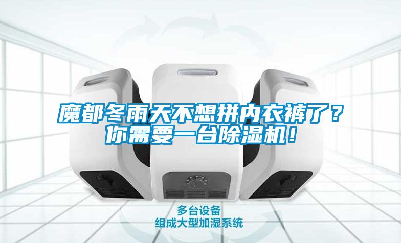 魔都冬雨天不想拼內衣褲了？你需要一臺除濕機！